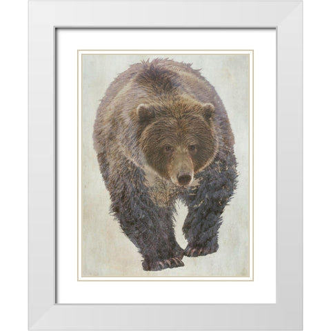 Brown Bear Walking White Modern Wood Framed Art Print with Double Matting by Curinga, Kim