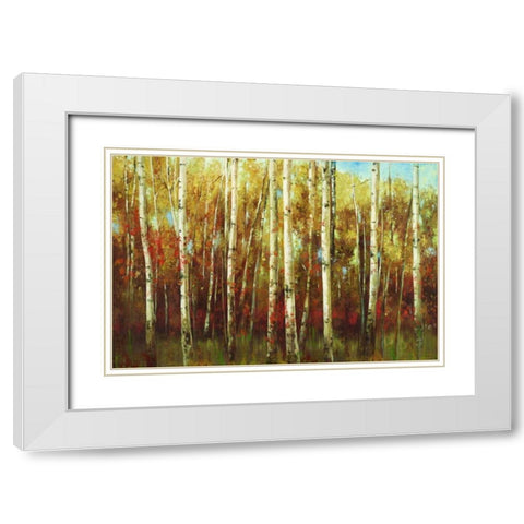 Birch Forest White Modern Wood Framed Art Print with Double Matting by K., Ella