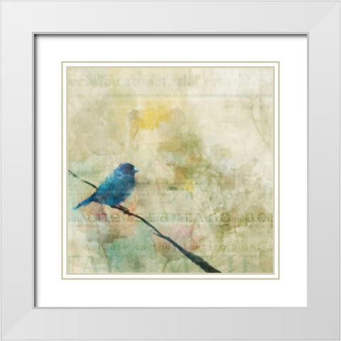 Nesting Bird I White Modern Wood Framed Art Print with Double Matting by Roko, Ken