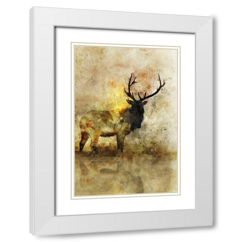 Calm Deer I White Modern Wood Framed Art Print with Double Matting by Roko, Ken