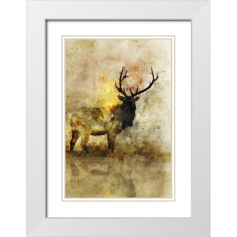 Calm Deer I White Modern Wood Framed Art Print with Double Matting by Roko, Ken