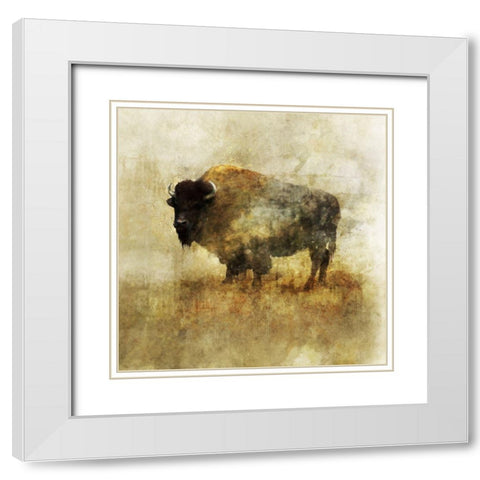 Peaceful Bison II White Modern Wood Framed Art Print with Double Matting by Roko, Ken