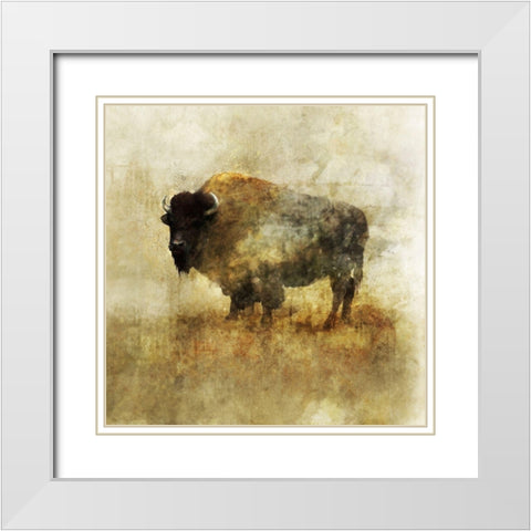 Peaceful Bison II White Modern Wood Framed Art Print with Double Matting by Roko, Ken