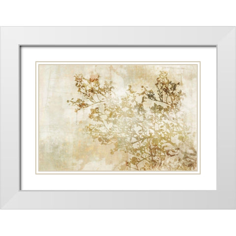 Dream of Trees I White Modern Wood Framed Art Print with Double Matting by Roko, Ken