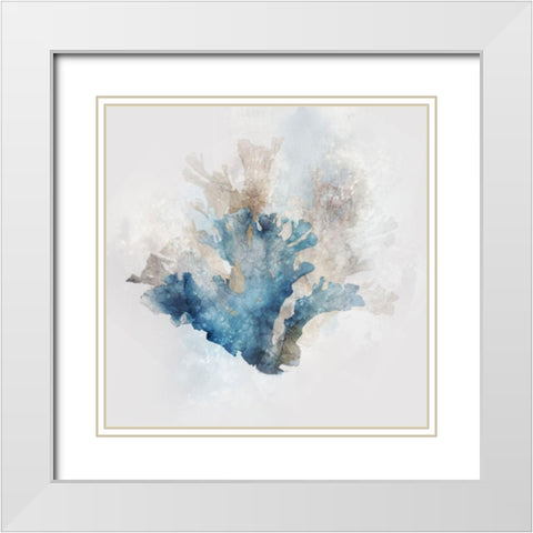 Blue Coral Reef II White Modern Wood Framed Art Print with Double Matting by Roko, Ken
