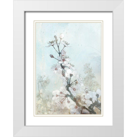 Climbing Cherry Blossoms I  White Modern Wood Framed Art Print with Double Matting by Roko, Ken