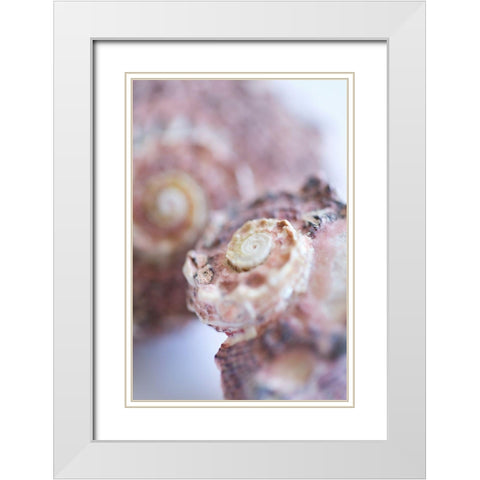 Purple Conch I White Modern Wood Framed Art Print with Double Matting by Millet, Karyn