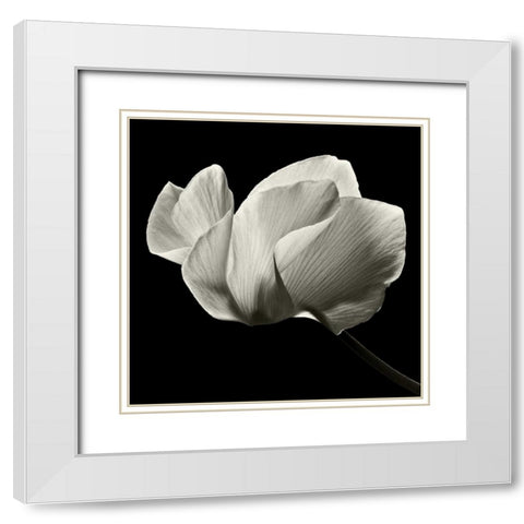Numen White Modern Wood Framed Art Print with Double Matting by Le Blanc, Dawn