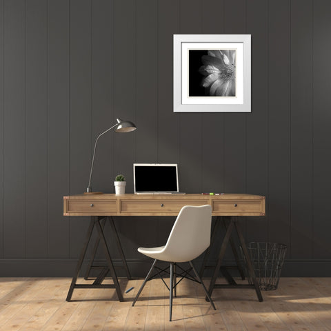 Clematis White Modern Wood Framed Art Print with Double Matting by Le Blanc, Dawn