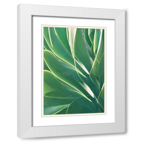 Botanical Light Play White Modern Wood Framed Art Print with Double Matting by Robertson, Leda
