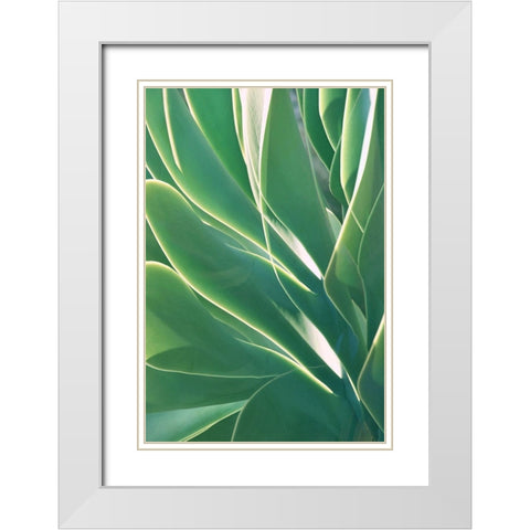 Botanical Light Play White Modern Wood Framed Art Print with Double Matting by Robertson, Leda