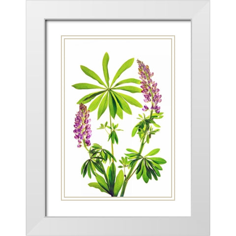 Greet the Day White Modern Wood Framed Art Print with Double Matting by Robertson, Leda