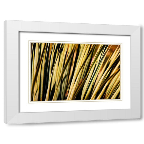Desert Grasses II White Modern Wood Framed Art Print with Double Matting by Robertson, Leda