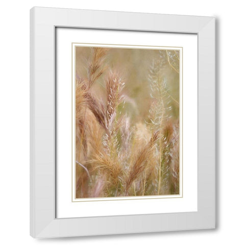 Dreamy Summer I  White Modern Wood Framed Art Print with Double Matting by Robertson, Leda