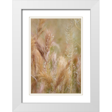 Dreamy Summer I  White Modern Wood Framed Art Print with Double Matting by Robertson, Leda
