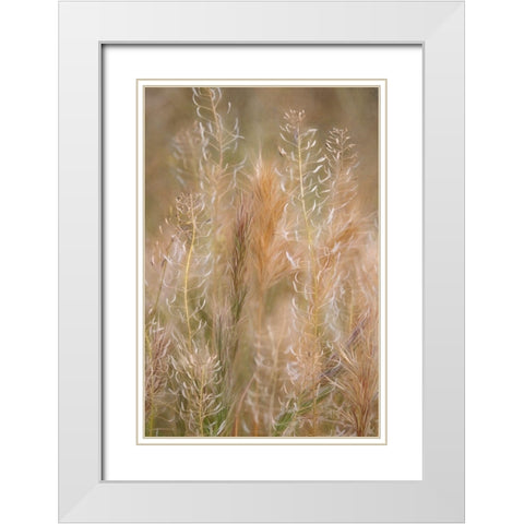 Dreamy Summer II White Modern Wood Framed Art Print with Double Matting by Robertson, Leda