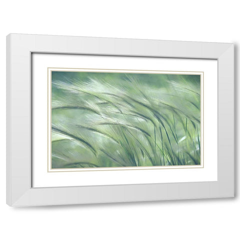 Gentle Dreams  White Modern Wood Framed Art Print with Double Matting by Robertson, Leda