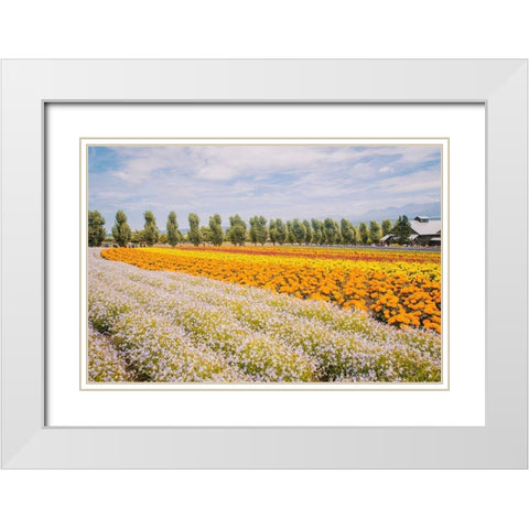 Flowers in Hokkaido I  White Modern Wood Framed Art Print with Double Matting by Lefer, Clement