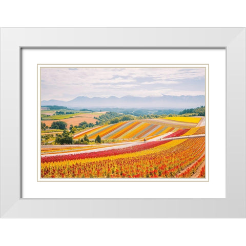 Flowers in Hokkaido II  White Modern Wood Framed Art Print with Double Matting by Lefer, Clement