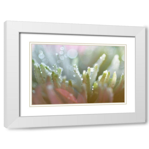 Tranquility White Modern Wood Framed Art Print with Double Matting by Agrypolous, Lisa