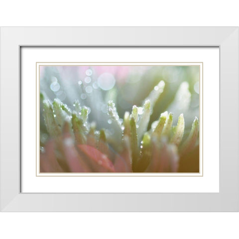 Tranquility White Modern Wood Framed Art Print with Double Matting by Agrypolous, Lisa