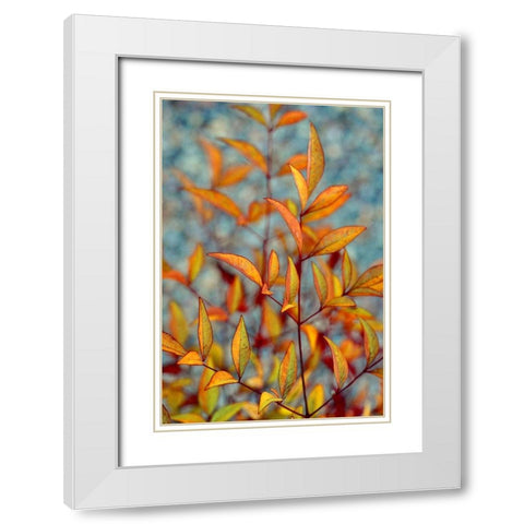 The Fire Within White Modern Wood Framed Art Print with Double Matting by Agrypolous, Lisa