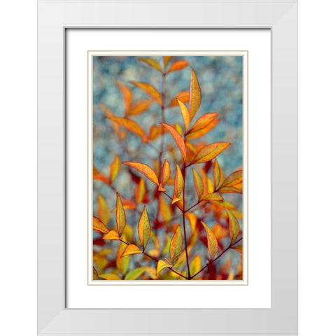 The Fire Within White Modern Wood Framed Art Print with Double Matting by Agrypolous, Lisa