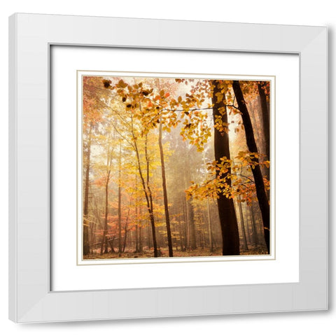 Autumn Blush White Modern Wood Framed Art Print with Double Matting by Lehnhardt, Iris