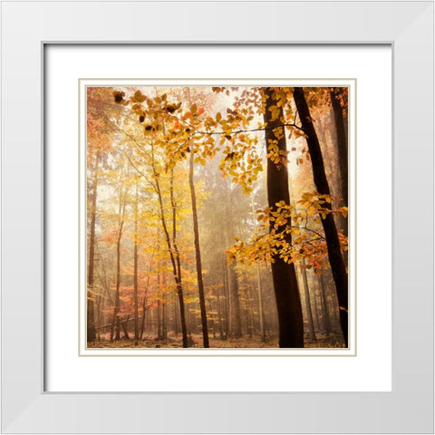 Autumn Blush White Modern Wood Framed Art Print with Double Matting by Lehnhardt, Iris