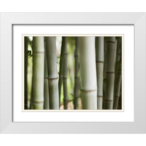 Huntington II White Modern Wood Framed Art Print with Double Matting by Mourier, Lily