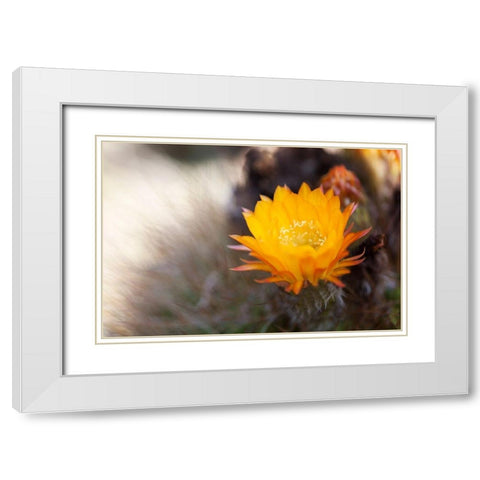 Wild Flowers I White Modern Wood Framed Art Print with Double Matting by Mourier, Lily