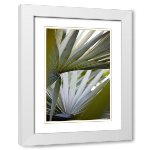 Transcending I White Modern Wood Framed Art Print with Double Matting by Mourier, Lily