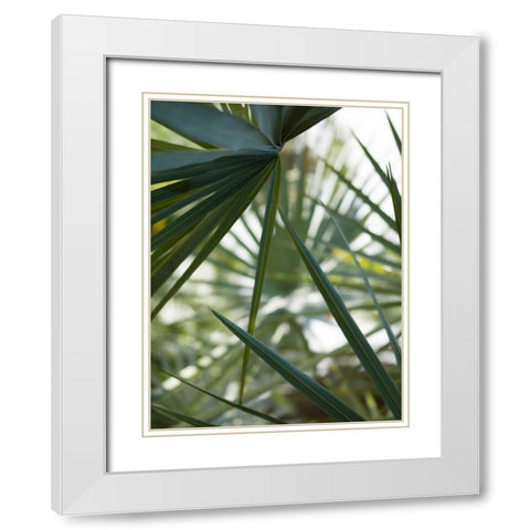 Transcending II White Modern Wood Framed Art Print with Double Matting by Mourier, Lily