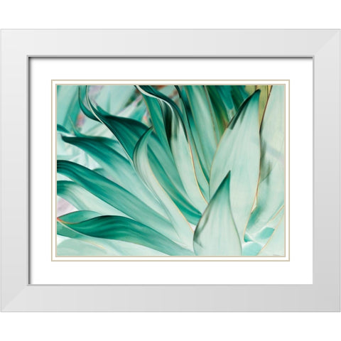 Prickle White Modern Wood Framed Art Print with Double Matting by Mourier, Lily
