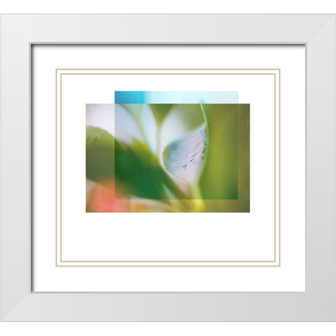 Leaf Overlap White Modern Wood Framed Art Print with Double Matting by Delva, Florence