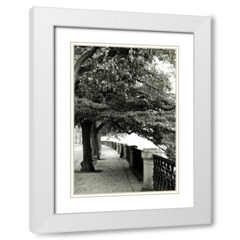 Park at Dusk II White Modern Wood Framed Art Print with Double Matting by Denardo, Laura
