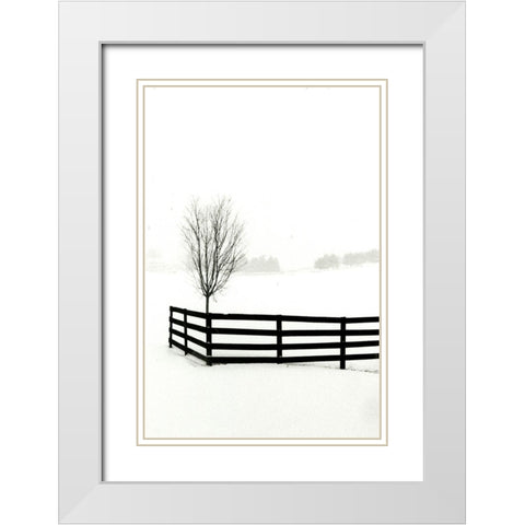 Snowy Wonderland I  White Modern Wood Framed Art Print with Double Matting by Denardo, Laura