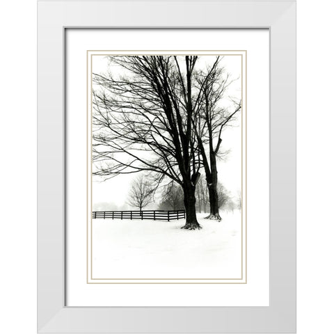 Snowy Wonderland II White Modern Wood Framed Art Print with Double Matting by Denardo, Laura