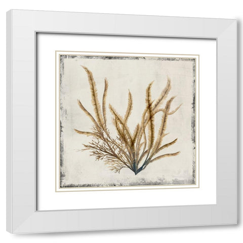 Yellow Coral I  White Modern Wood Framed Art Print with Double Matting by Lily K