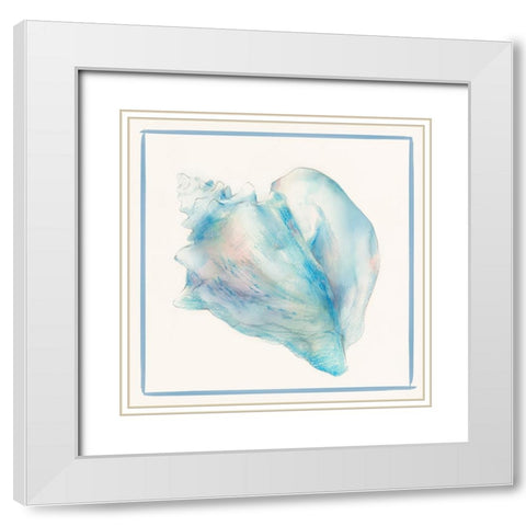 Seashell Serenade I White Modern Wood Framed Art Print with Double Matting by Lily K