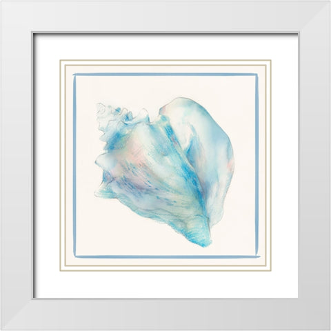 Seashell Serenade I White Modern Wood Framed Art Print with Double Matting by Lily K