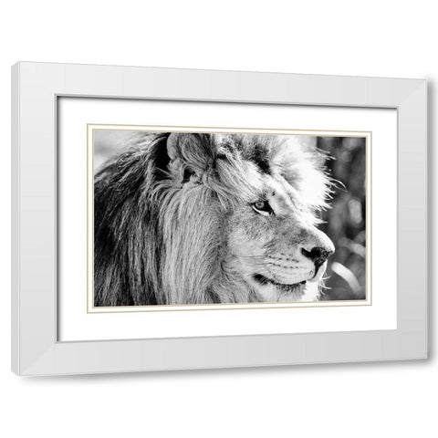 Majestic White Modern Wood Framed Art Print with Double Matting by Drummond, Max