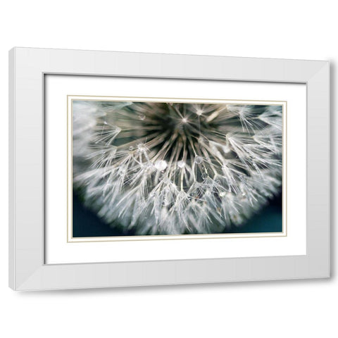 Dandelion Wishes White Modern Wood Framed Art Print with Double Matting by Miller, Irene