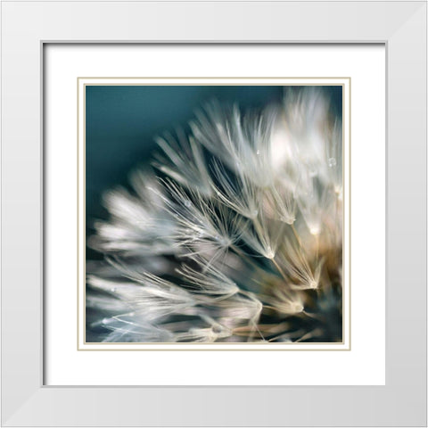 Dandelion Dreams I White Modern Wood Framed Art Print with Double Matting by Miller, Irene