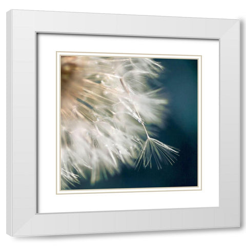 Dandelion Dreams III White Modern Wood Framed Art Print with Double Matting by Miller, Irene