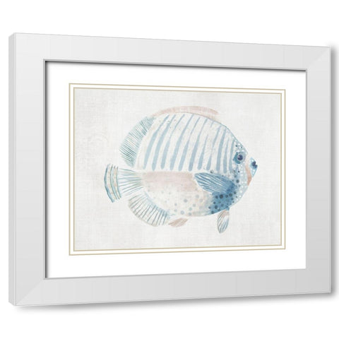 Sergeant Major Fish  White Modern Wood Framed Art Print with Double Matting by Woods, Maya