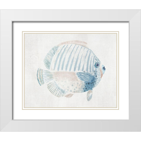 Sergeant Major Fish  White Modern Wood Framed Art Print with Double Matting by Woods, Maya