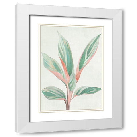 Ginger Plant I White Modern Wood Framed Art Print with Double Matting by Woods, Maya
