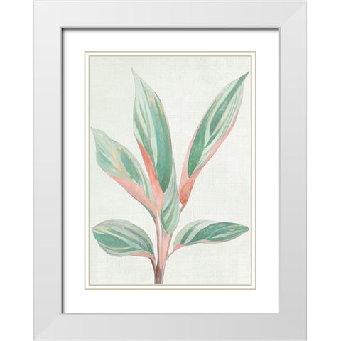 Ginger Plant I White Modern Wood Framed Art Print with Double Matting by Woods, Maya