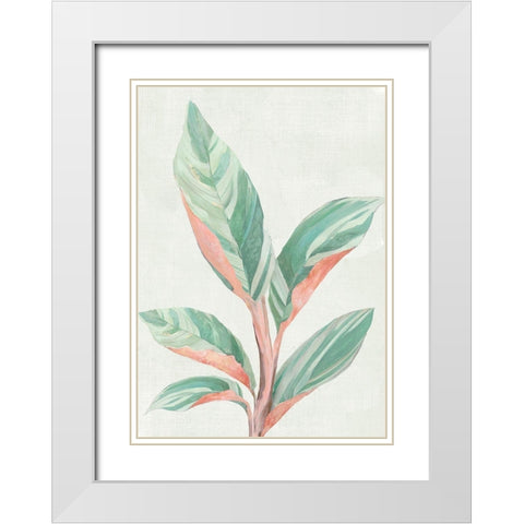 Ginger Plant II White Modern Wood Framed Art Print with Double Matting by Woods, Maya